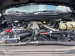2023 Ford F-350 Crew Cab DRW 4x4 Pickup for sale #C25SD082A - photo 21