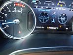 2019 Ford F-350 Crew Cab DRW 4WD Pickup for sale #C26SD010A - photo 16