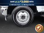2025 Ford F-350 Crew Cab DRW 4WD Pickup for sale #C26SD063Z - photo 12