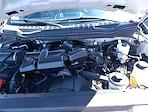 2019 Ford F-250 Crew Cab 4WD Pickup for sale #CA0463 - photo 20