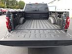 2025 Ford F-150 Regular Cab 4WD Pickup for sale #CA0479 - photo 21