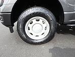2025 Ford F-150 Regular Cab 4WD Pickup for sale #CA0479 - photo 23