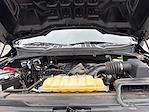2021 Ford F-150 SuperCrew Cab 4WD Pickup for sale #M25BR118A - photo 25