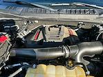 2020 Ford F-150 SuperCrew Cab 4WD Pickup for sale #M25BR210A - photo 25