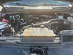 2023 Ford F-150 SuperCrew Cab 4x4 Pickup for sale #M25F1025A - photo 22