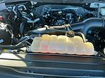 2022 Ford F-150 SuperCrew Cab 4WD Pickup for sale #M25F1103B - photo 25