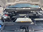 2023 Ford F-150 SuperCrew Cab 4x4 Pickup for sale #M25F1110A - photo 22
