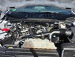 2022 Ford F-150 SuperCrew Cab 4WD Pickup for sale #M25F1170A - photo 26