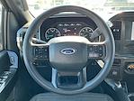 2021 Ford F-150 SuperCrew Cab 4x2 Pickup for sale #M25F1274A - photo 14