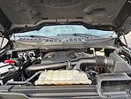 2023 Ford F-150 SuperCrew Cab 4WD Pickup for sale #M25F1286A - photo 25