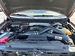 2012 Ford F-150 SuperCrew Cab 4x2 Pickup for sale #M25F1293C - photo 22