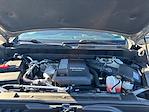 2021 Chevrolet Silverado 1500 Crew Cab 4WD Pickup for sale #M25F1319A - photo 19