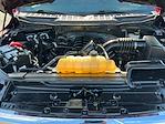 2022 Ford F-150 SuperCrew Cab 4x4 Pickup for sale #M25F1348A - photo 22