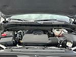 2024 Chevrolet Silverado 1500 Crew Cab 4WD Pickup for sale #M25F1450A - photo 22
