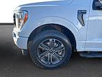 2021 Ford F-150 SuperCrew Cab 4WD Pickup for sale #M25F1456A - photo 13