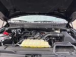 2023 Ford F-150 SuperCrew Cab 4WD Pickup for sale #M25F1553A - photo 25