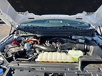 2024 Ford F-150 SuperCrew Cab 4WD Pickup for sale #M25F1569A - photo 19