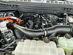 2024 Ford F-150 SuperCrew Cab 4WD Pickup for sale #M25F1621A - photo 25