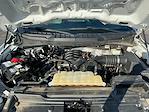 2021 Ford F-150 SuperCrew Cab 4WD Pickup for sale #M25RG184A - photo 22