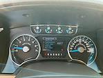 2013 Ford F-150 SuperCrew Cab 4x2 Pickup for sale #M25SD024B - photo 15