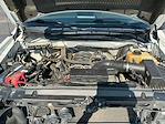 2013 Ford F-150 SuperCrew Cab 4x2 Pickup for sale #M25SD024B - photo 22