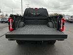 2024 Ford F-250 Crew Cab 4WD Pickup for sale #M25SD138A - photo 23