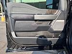 2024 Ford F-250 Crew Cab 4x4 Pickup for sale #M25SD159A - photo 10