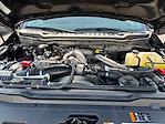 2024 Ford F-250 Crew Cab 4x4 Pickup for sale #M25SD159A - photo 22