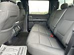 2024 Ford F-150 SuperCrew Cab 4WD Pickup for sale #M25SD187A - photo 22