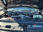 2024 Ford F-250 Crew Cab 4WD Pickup for sale #M25SD196A - photo 22