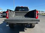 2024 Ford F-250 Crew Cab 4WD Pickup for sale #M25SD196A - photo 23