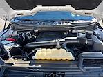 2022 Ford F-150 SuperCrew Cab 4WD Pickup for sale #M25SD218B - photo 22