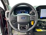 2025 Ford F-150 Regular Cab 4x4 Pickup for sale #M25SD244A - photo 13