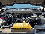 2022 Ford F-150 SuperCrew Cab 4x4 Pickup for sale #M26SD030A - photo 22