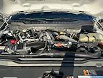 2023 Ford F-350 Crew Cab SRW 4WD Pickup for sale #M26SD062A - photo 22