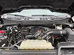 2024 Ford F-150 SuperCrew Cab 4WD Pickup for sale #M26SD062B - photo 22