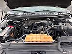 2017 Ford F-150 SuperCrew Cab 4x4 Pickup for sale #T25CV006C - photo 22