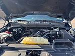 2023 Ford F-150 SuperCrew Cab 4WD Pickup for sale #T25SV094A - photo 25
