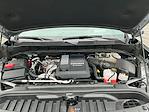 2024 Chevrolet Silverado 1500 Crew Cab 4WD Pickup for sale #T26SV054A - photo 22