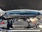 2024 Chevrolet Silverado 1500 Crew Cab 4WD Pickup for sale #T26SV056A - photo 25