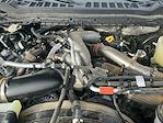 Used 2023 Ford F-250 Platinum Crew Cab for sale #T26TV035A - photo 25