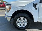 2023 Ford F-150 SuperCrew Cab 4x4 Pickup for sale #TA0389 - photo 27