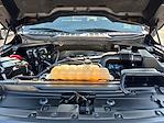 2023 Ford F-150 SuperCrew Cab 4WD Pickup for sale #FA0806 - photo 22