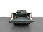 2010 Ford F-150 SuperCrew Cab 4WD Pickup for sale #M25BR072A - photo 24