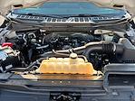 2022 Ford F-150 SuperCrew Cab 4x2 Pickup for sale #M25BR098A - photo 22