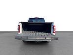 2023 Ford F-150 SuperCrew Cab 4WD Pickup for sale #M25BR136A - photo 19