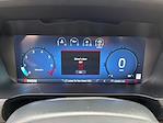 2024 Ford F-150 SuperCrew Cab 4WD Pickup for sale #M25BR193A - photo 19