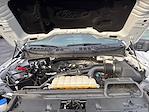 2024 Ford F-150 SuperCrew Cab 4WD Pickup for sale #M25BR193A - photo 25
