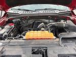 2015 Ford F-150 SuperCrew Cab 4x2 Pickup for sale #M25F1334A - photo 22