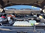 2024 Ford F-150 SuperCrew Cab 4WD Pickup for sale #M25F1437B - photo 22